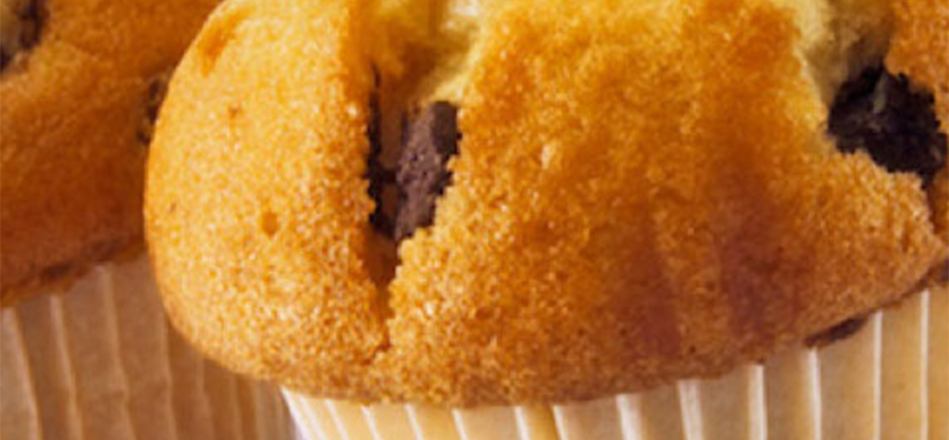 Chocolate Chip Muffins Yogurt Recipe Dannon Yogurt