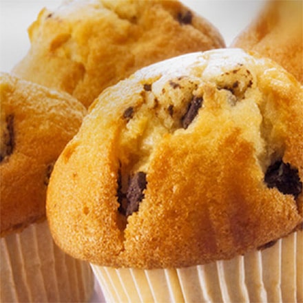 Chocolate Chip Muffins Dannon Yogurt Recipe